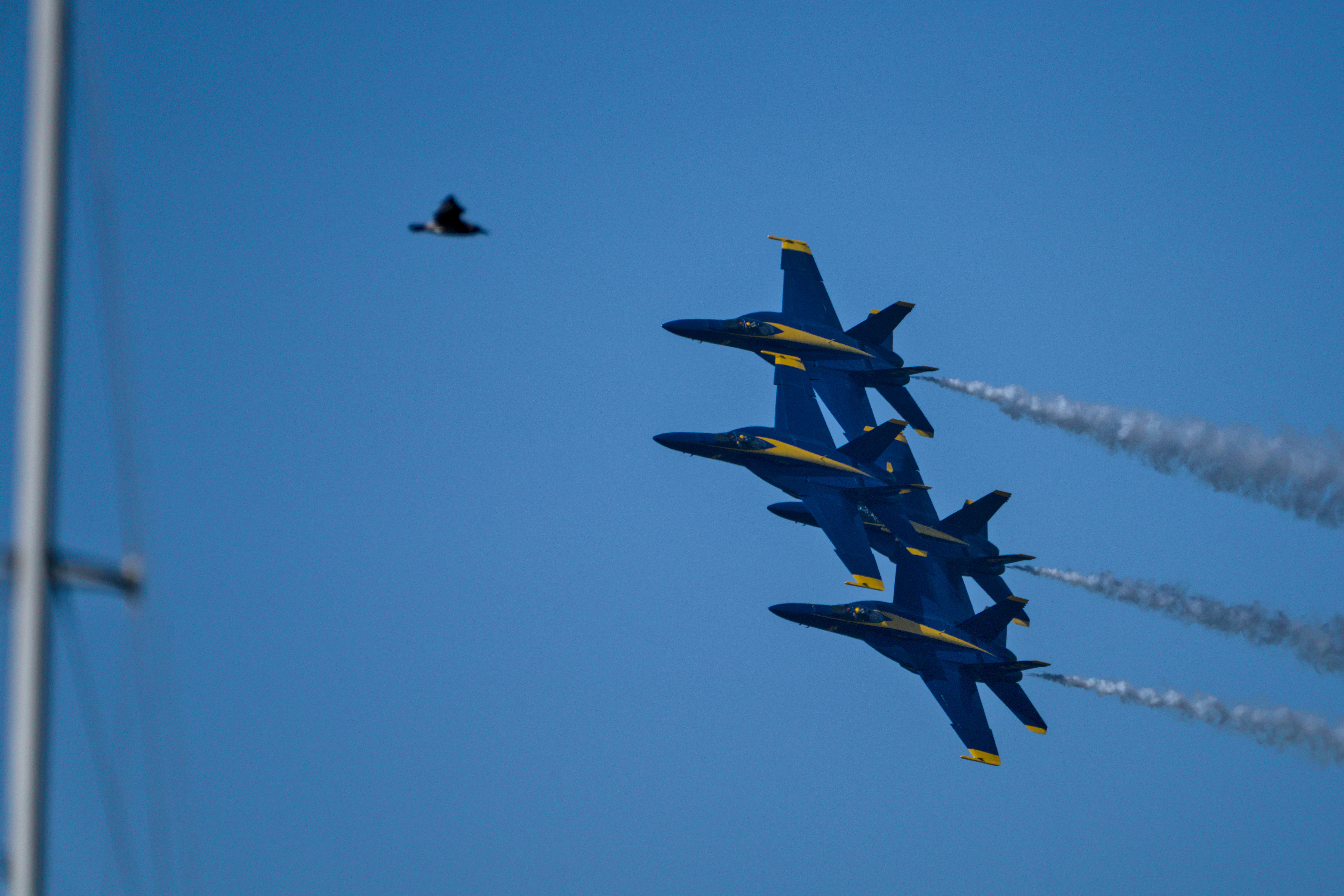 Fleet Week / 004