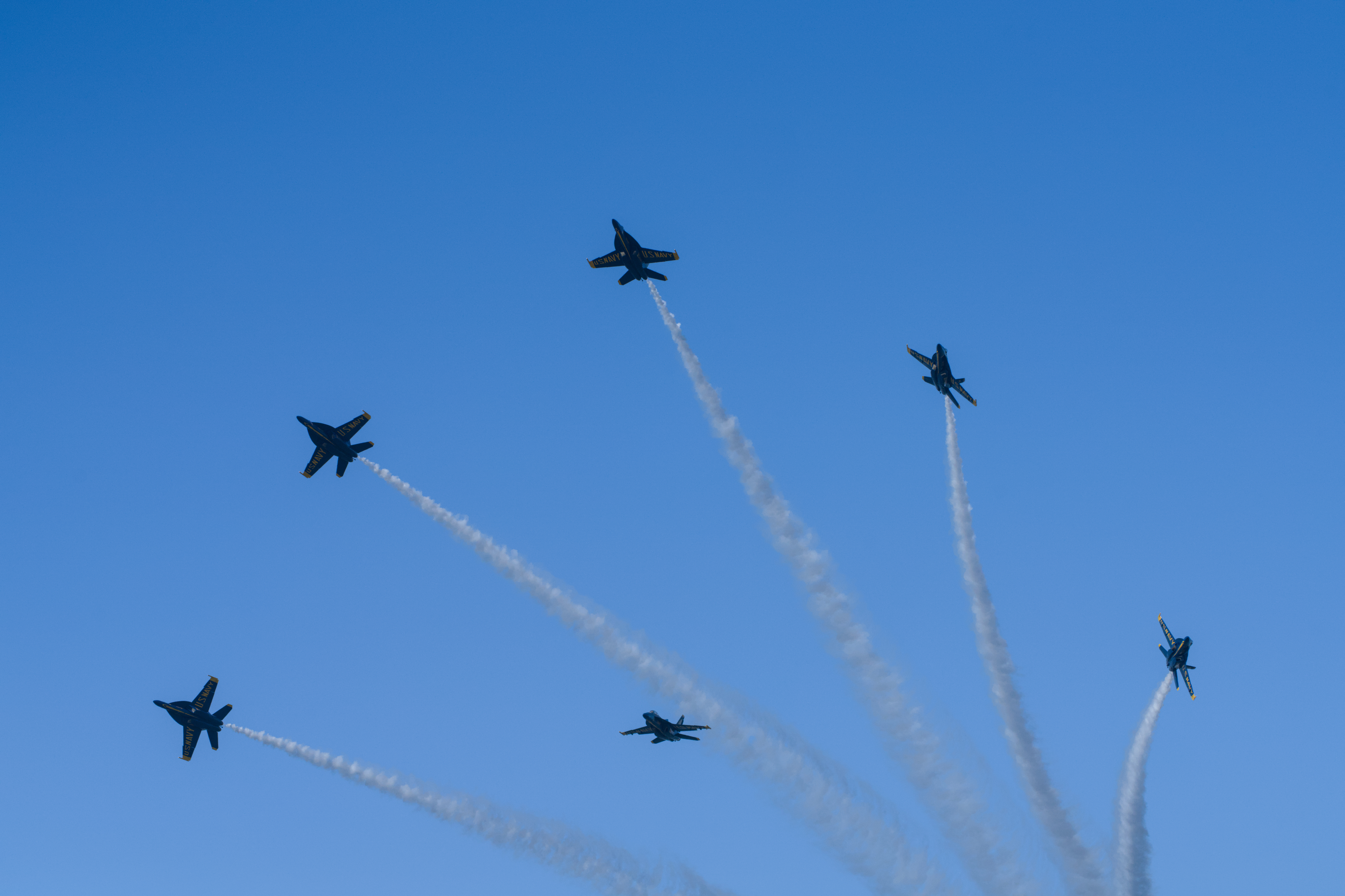 Fleet Week / 028
